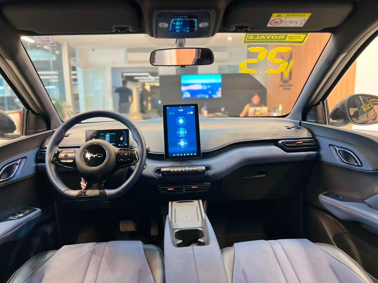BYD DOLPHIM MINI