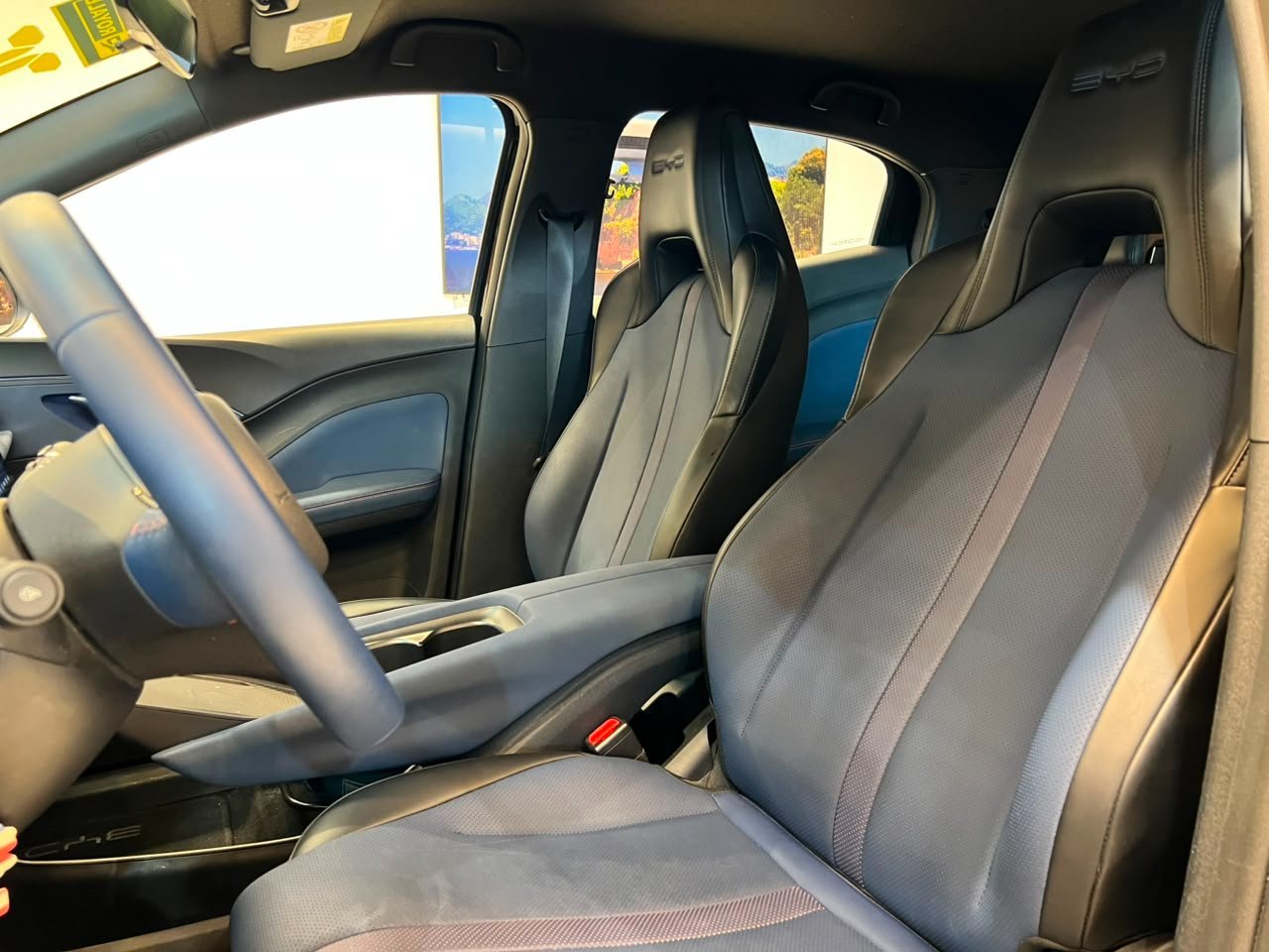 BYD DOLPHIM MINI