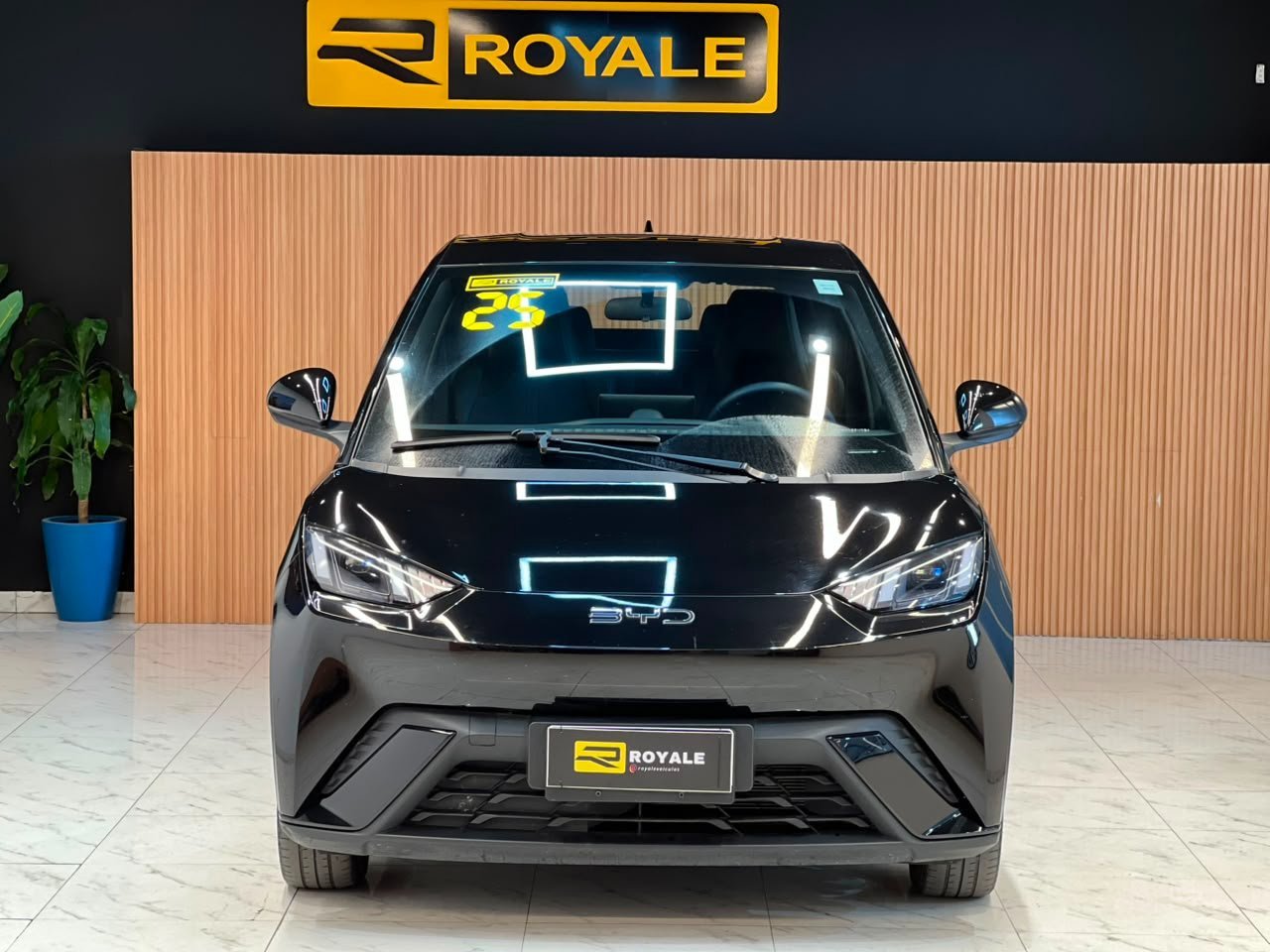 BYD DOLPHIM MINI