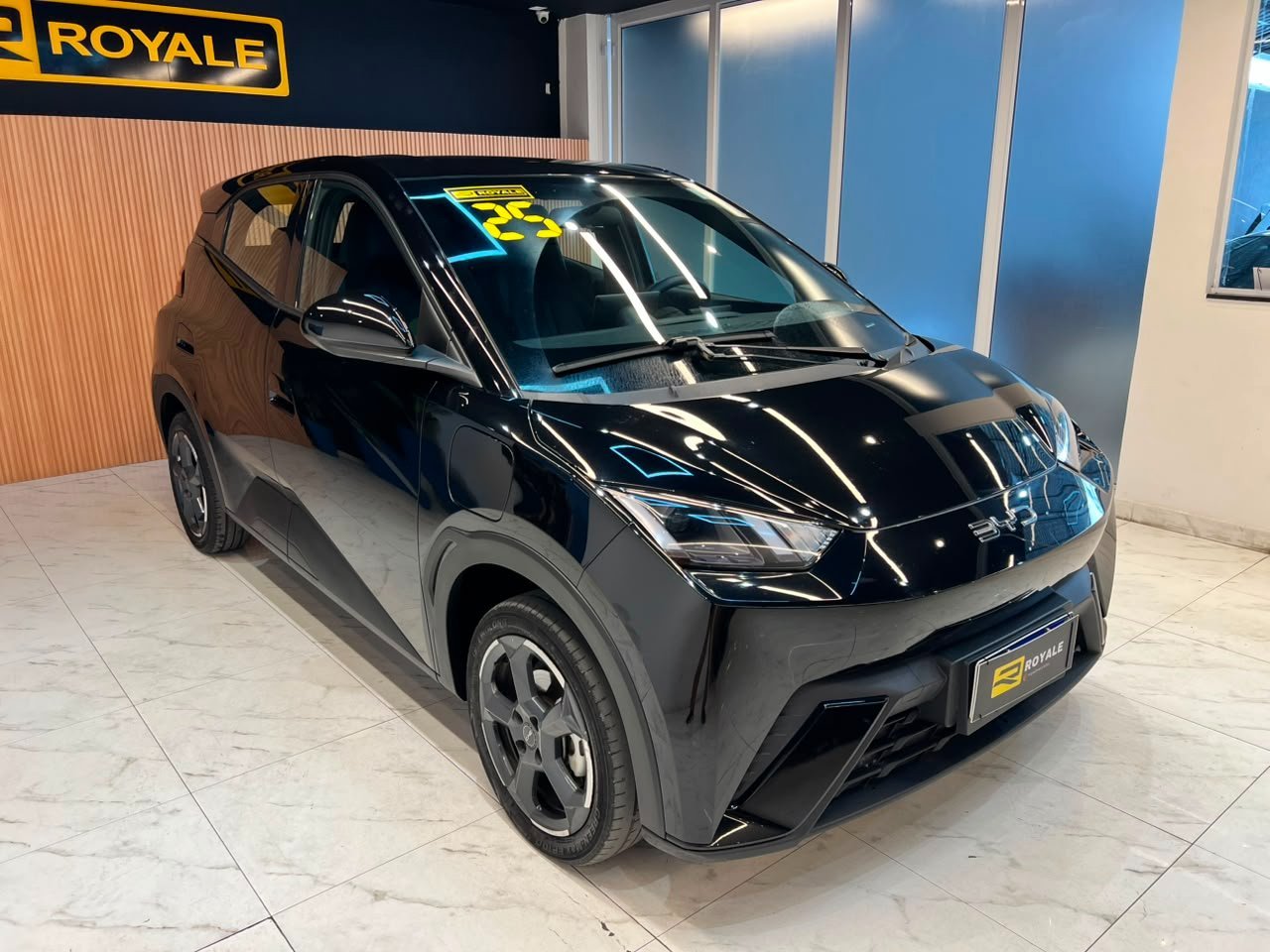 BYD DOLPHIM MINI