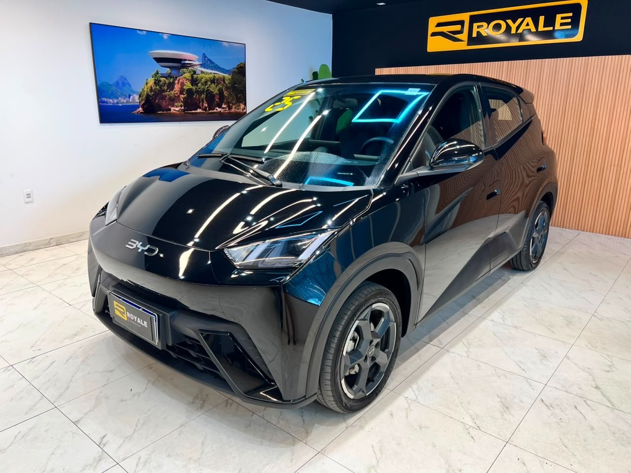 BYD DOLPHIM MINI