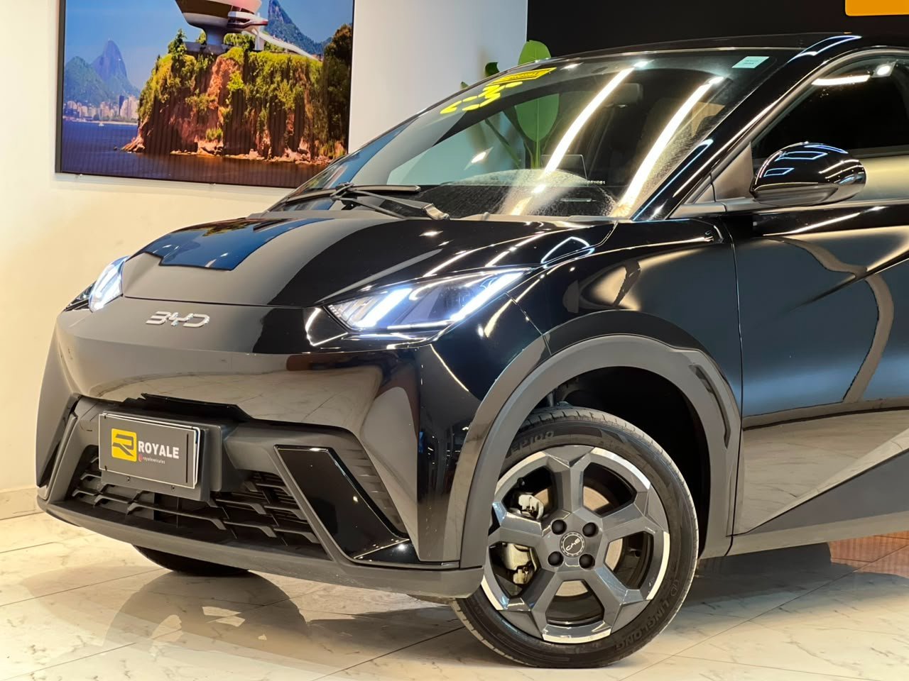BYD DOLPHIM MINI